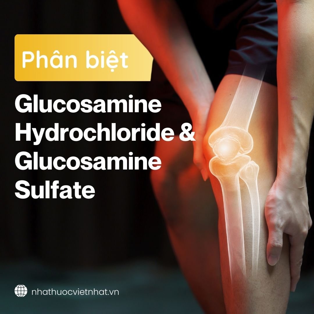 Phân biệt Glucosamine HCL và Glucosamine Sulfate. Đâu là dạng Glucosamine phù hợp với bạn?