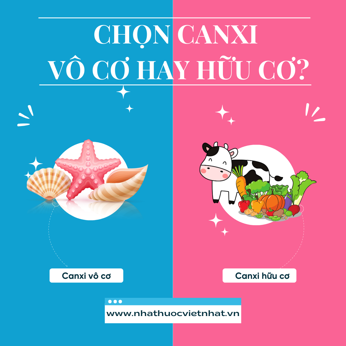 Canxi Hữu Cơ và Vô Cơ: Ưu Nhược Điểm và Đối Tượng Phù Hợp