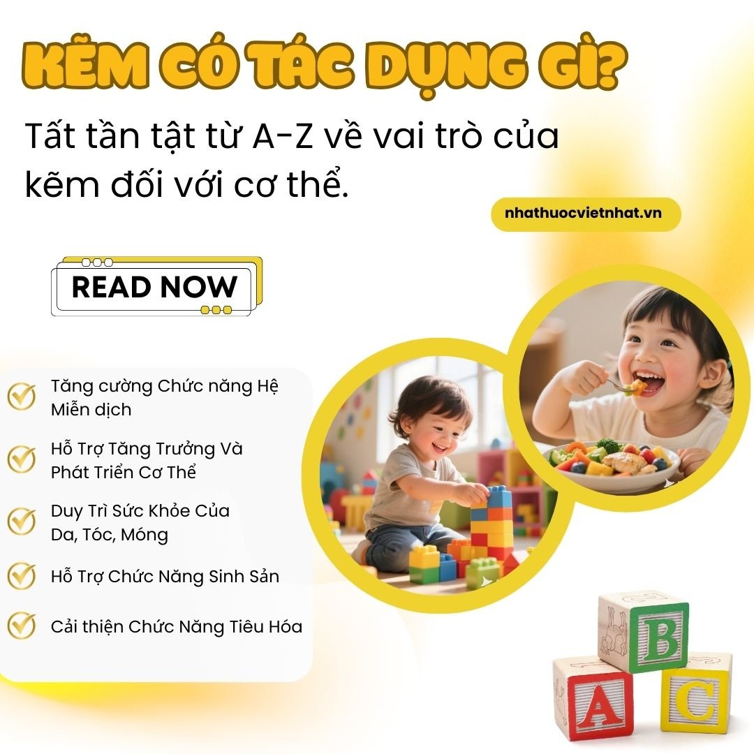 Kẽm Có Tác Dụng Gì? Tất tần tật từ A-Z về vai trò của kẽm đối với cơ thể.