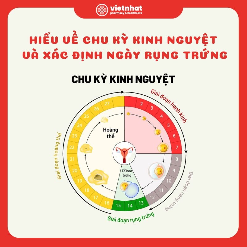 7. Các Câu Hỏi Thường Gặp