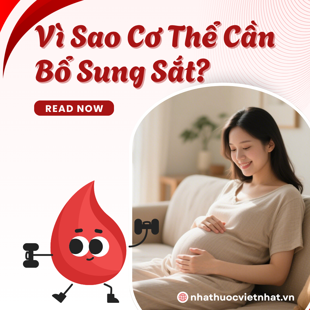 Vì Sao Cơ Thể Cần Bổ Sung Sắt? Hiểu Đúng Để Bổ Sung Hiệu Quả