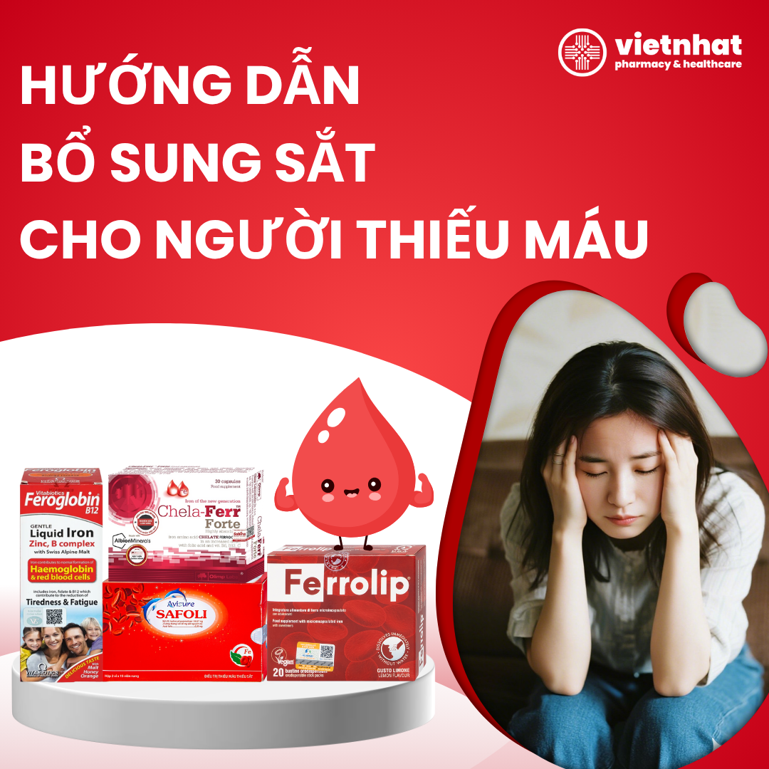 Hướng Dẫn Bổ Sung Sắt Cho Người Thiếu Máu