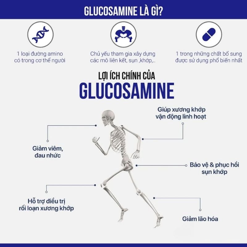 nhathuocvietnhat.vn - Glucosamine hỗ trợ điều trị viêm khớp, thoái hóa khớp ở người lớn tuổi