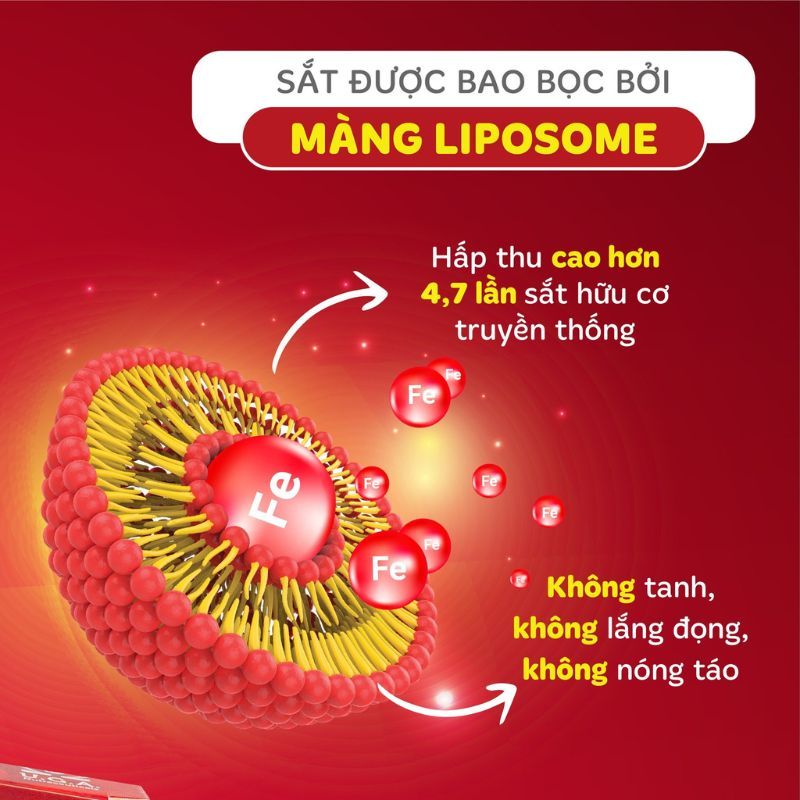 nhathuocvietnhat.vn - Sắt sinh học với công nghệ Liposome giúp hấp thu vượt trội, không gây nóng trong hay táo bón