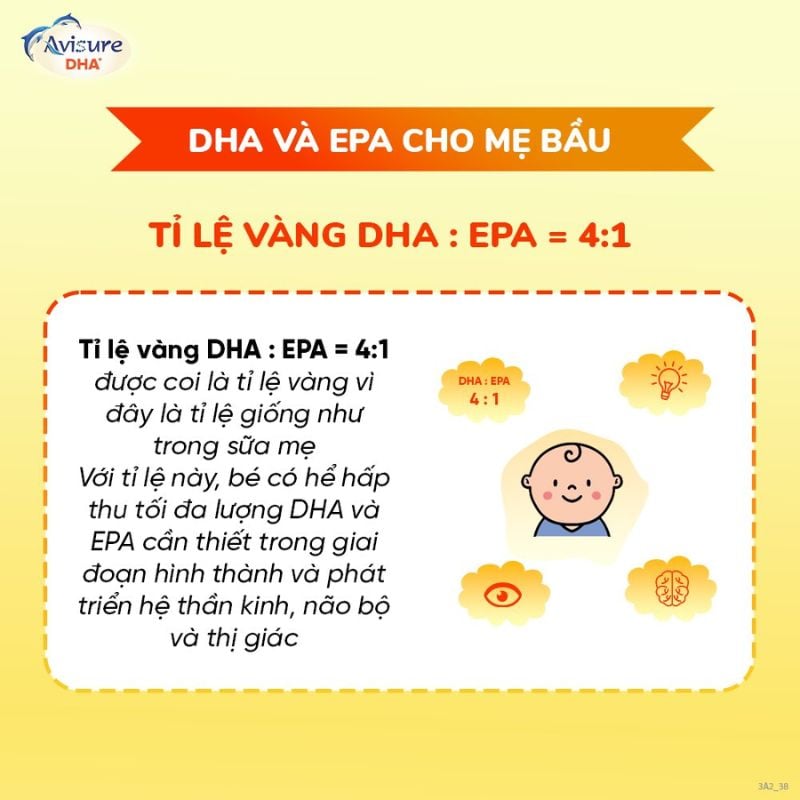 nhathuocvietnhat.vn - Avisure DHA - Bổ sung DHA cao cấp với tỷ lệ vàng DHA/EPA 4:1 cho phát triển não bộ thai nhi
