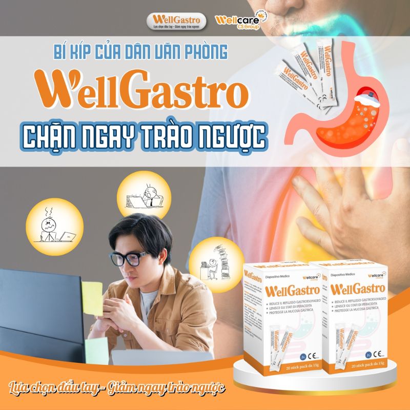 nhathuocvietnhat.vn - Wellgastro, Giải pháp hiệu quả cho người bị trào ngược dạ dày thực quản