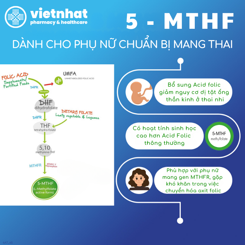 nhathuocvietnhat.vn - 5-MTHF là dạng hoạt tính sinh học của folate, dễ hấp thu, không cần qua bước chuyển hóa tại gan so với acid folic thông thường.