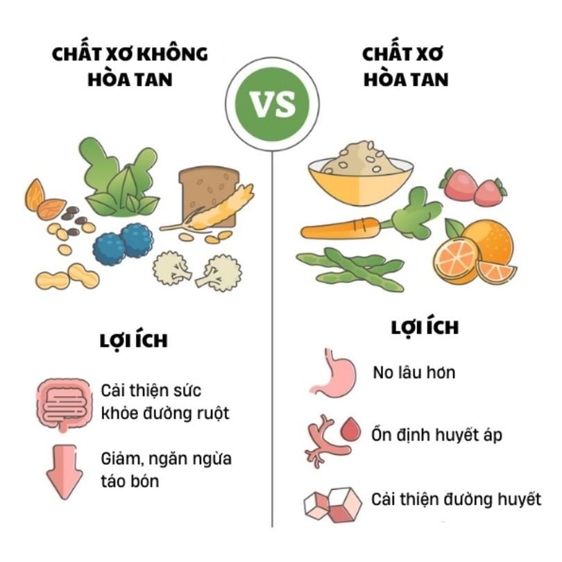 nhathuocvietnhat.vn - Sự khác biệt giữa chất xơ hòa tan và chất xơ không hòa tan