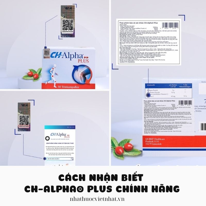 nhathuocvietnhat.vn - Cách nhận biết CH-Alpha® PLUS chính hãng