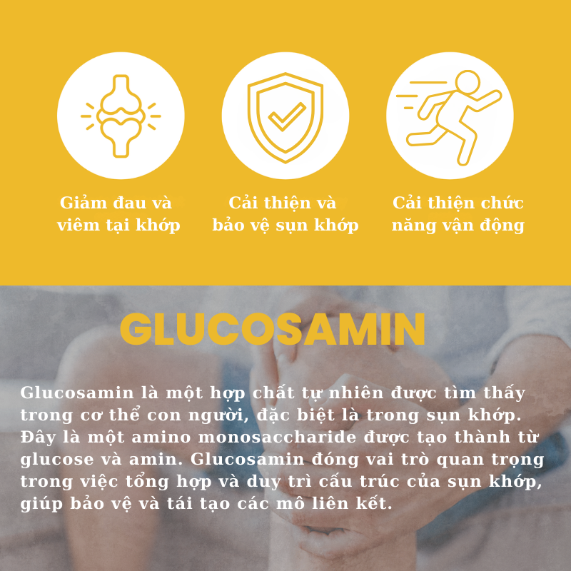 nhathuocvietnhat.vn - Glucosamine giúp giảm đau và viêm, bảo vệ sụn khớp, hỗ trợ tái tạo mô sụn và tăng cường sức khỏe xương khớp