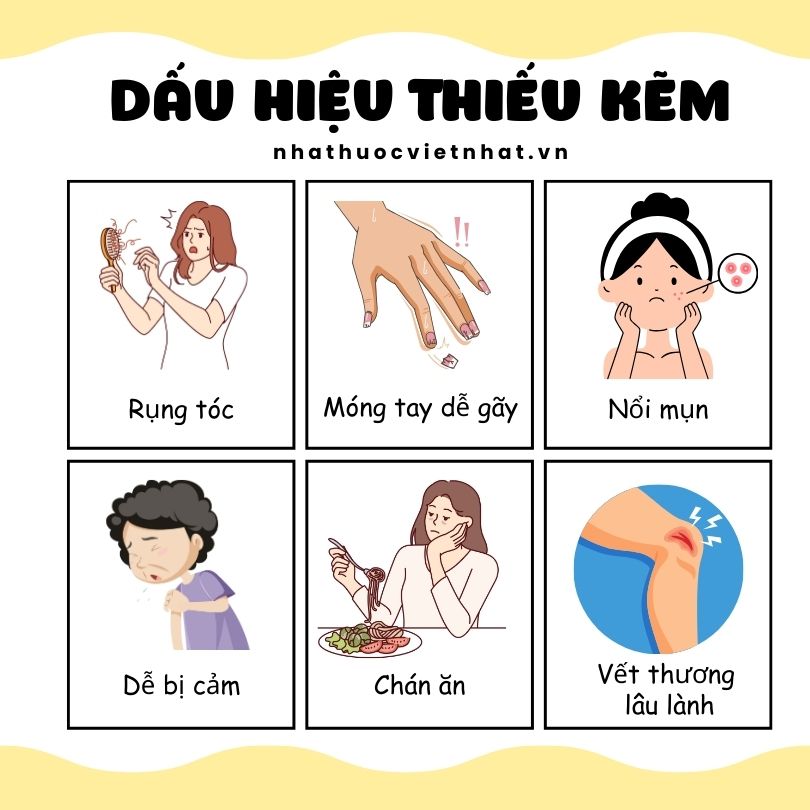 nhathuocvietnhat.vn - Một số dấu hiệu thiếu kẽm thường gặp ở người trưởng thành