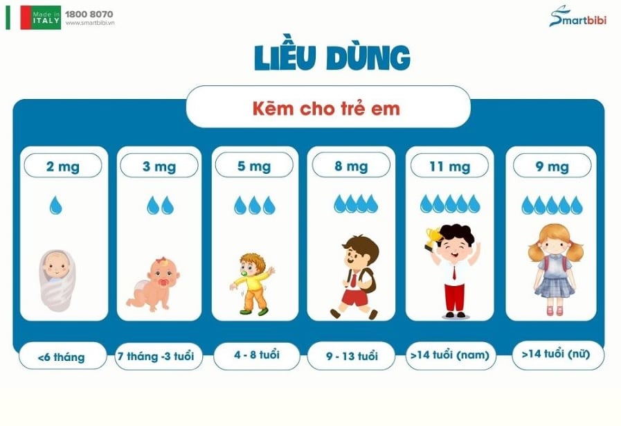 nhathuocvietnhat.vn - Nhu cầu kẽm cho bé theo từng độ tuổi