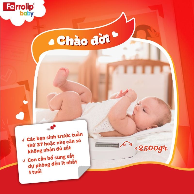 nhathuocvietnhat.vn - trẻ sinh non cần được bổ sung đủ sắt để hỗ trợ sự phát triển toàn diện, đặc biệt là sự phát triển của não bộ và hệ thần kinh