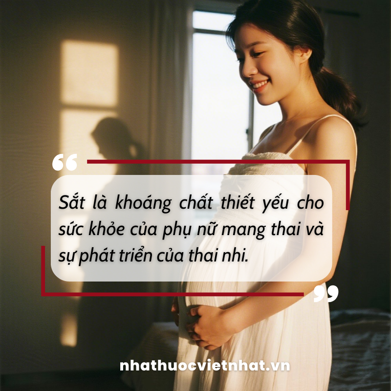 nhathuocvietnhat.vn - Sắt là khoáng chất thiết yếu cho sức khỏe của phụ nữ mang thai và sự phát triển của thai nhi