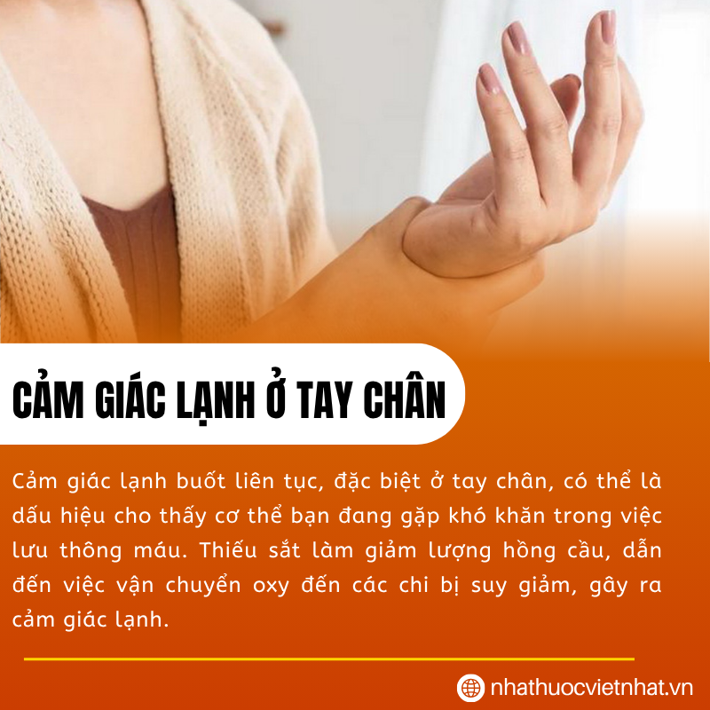 nhathuocvietnhat.vn - Thiếu sắt làm giảm lượng hồng cầu, ảnh hưởng đến khả năng vận chuyển oxy đến các chi, gây ra cảm giác lạnh.