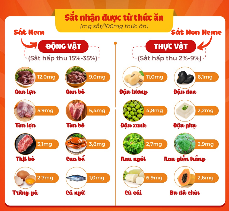 nhathuocvietnhat.vn - Trong thực phẩm, sắt tồn tại ở hai dạng chính là sắt heme và sắt non-heme
