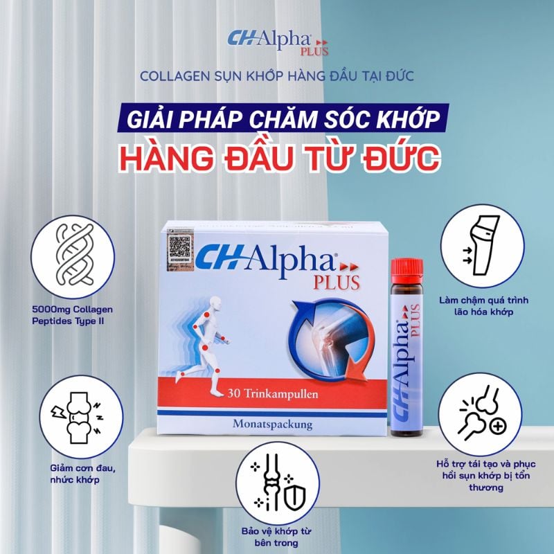 nhathuocvietnhat.vn - CH Alpha Plus - Collagen hỗ trợ xương khớp toàn diện