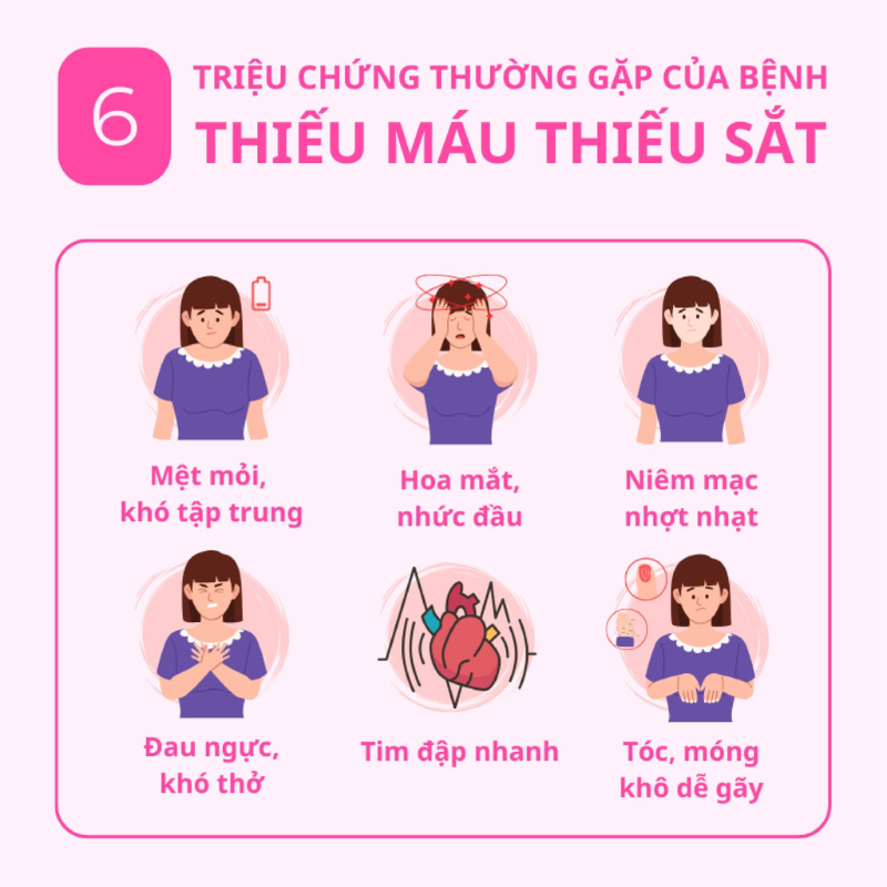 nhathuocvietnhat.vn - nhận biết sớm những dấu hiệu thiếu sắt có thể giúp bạn bổ sung sắt kịp thời