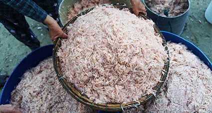 Mắm ruốc là gì? Cách làm mắm ruốc tại nhà đơn giản