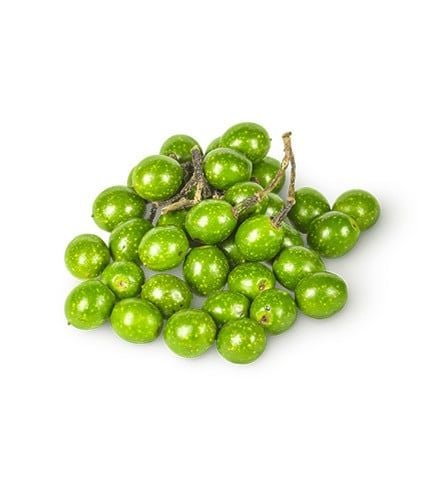 Cây sơn kê tiêu (màng tang)|Litsea Cubeba