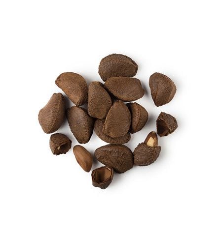 Tinh dầu quả hạch Brazil hữu cơ|Organic Brazil Nut Oil