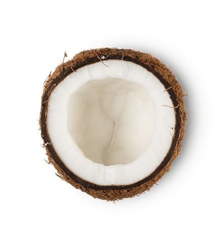Kem dừa|Coconut Cream