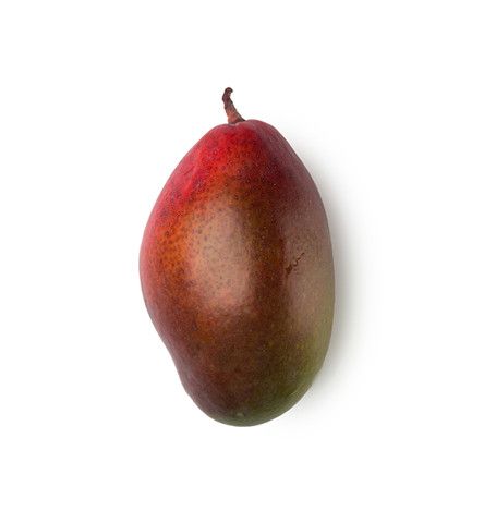 Bơ xoài|Mango Butter