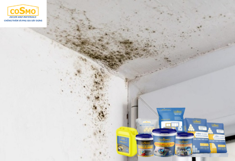 Tại sao trần nhà vệ sinh lại bị loang lổ rêu mốc?