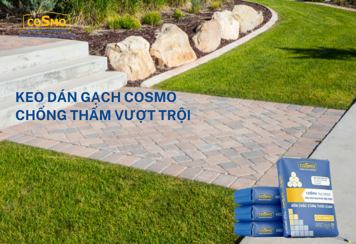 Keo dán gạch COSMO chống thấm vượt trội