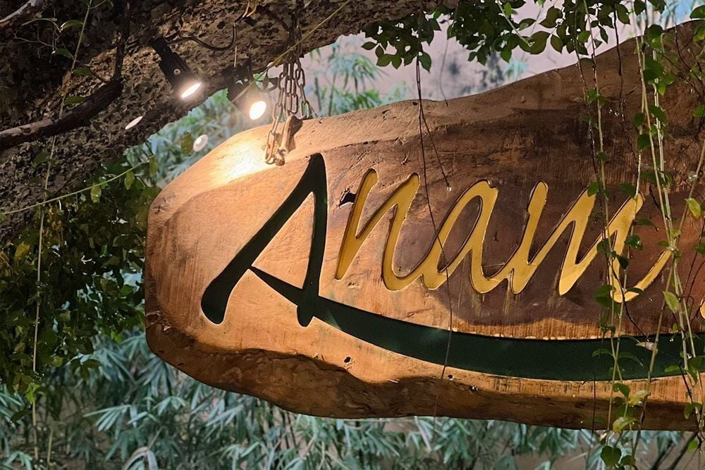 “Thở” lại giữa mùa hè, để mùa hè không còn quá ngột ngạt