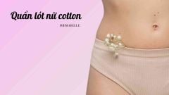 Quần Lót Nữ Cotton: Chất Lượng Cao Cấp, 2 Giá Trị Tuyệt Vời
