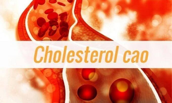 🚨 Cảnh báo: Cholesterol cao – Thủ phạm âm thầm gây hại gan và tim mạch!