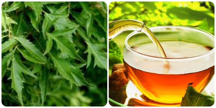 Cách Trị Mất Ngủ Hiệu Quả Tại Nhà Với Trà Đinh Lăng