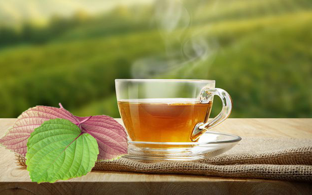 Trà Tía Tô – Thức Uống Vàng Cho Sức Khỏe Và Sắc Đẹp Từ Thiên Nhiên