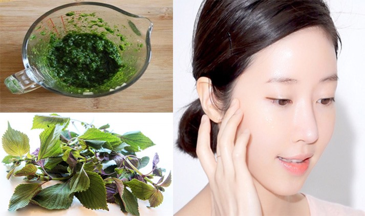 🌿 Lá Tía Tô Có Trị Mụn Được Không? Bật Mí Cách Dùng Lá Tía Tô Trị Mụn Hiệu Quả Tại Nhà