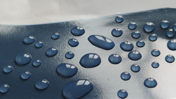 Hiệu ứng lá sen là gì?