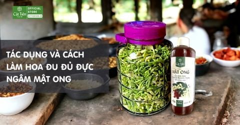 Tác dụng và cách làm hoa đu đủ đực ngâm mật ong