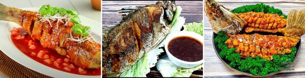 5 cách làm cá chẽm chiên giòn thơm ngon, đơn giản tại nhà