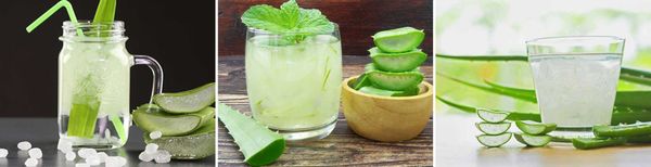 5 cách nấu nha đam đường phèn giải nhiệt, không bị nhớt