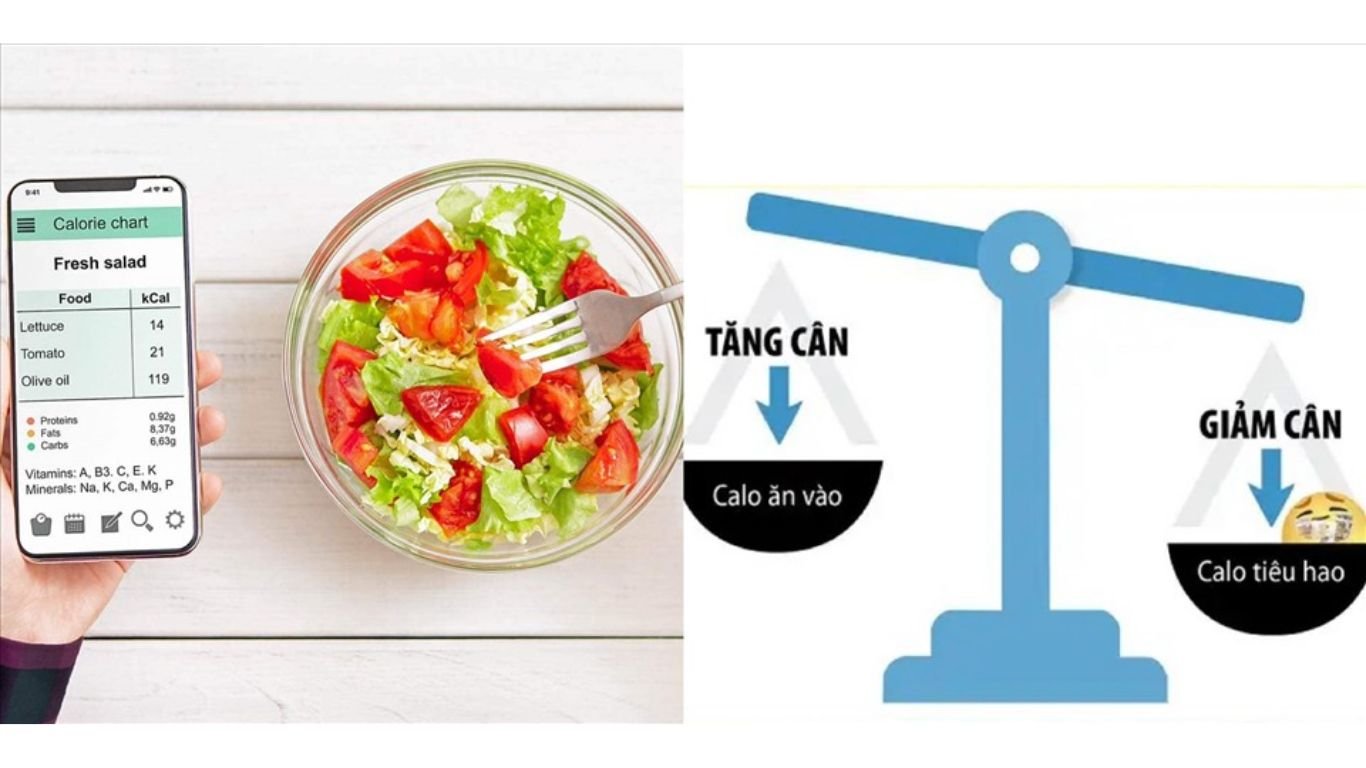 Tính lượng calo cần nạp trong thực đơn cho người ăn kiêng