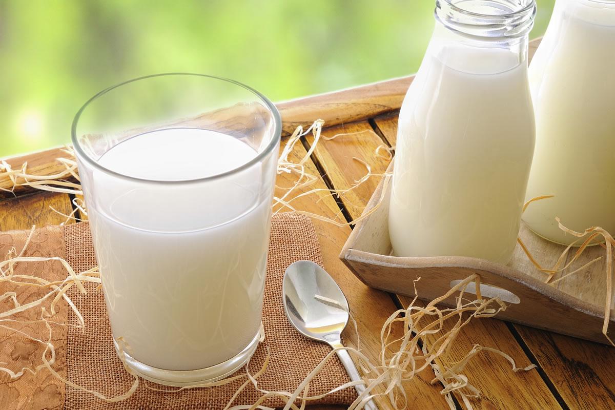 Sữa tươi là nguồn dinh dưỡng tốt cho sức khỏe