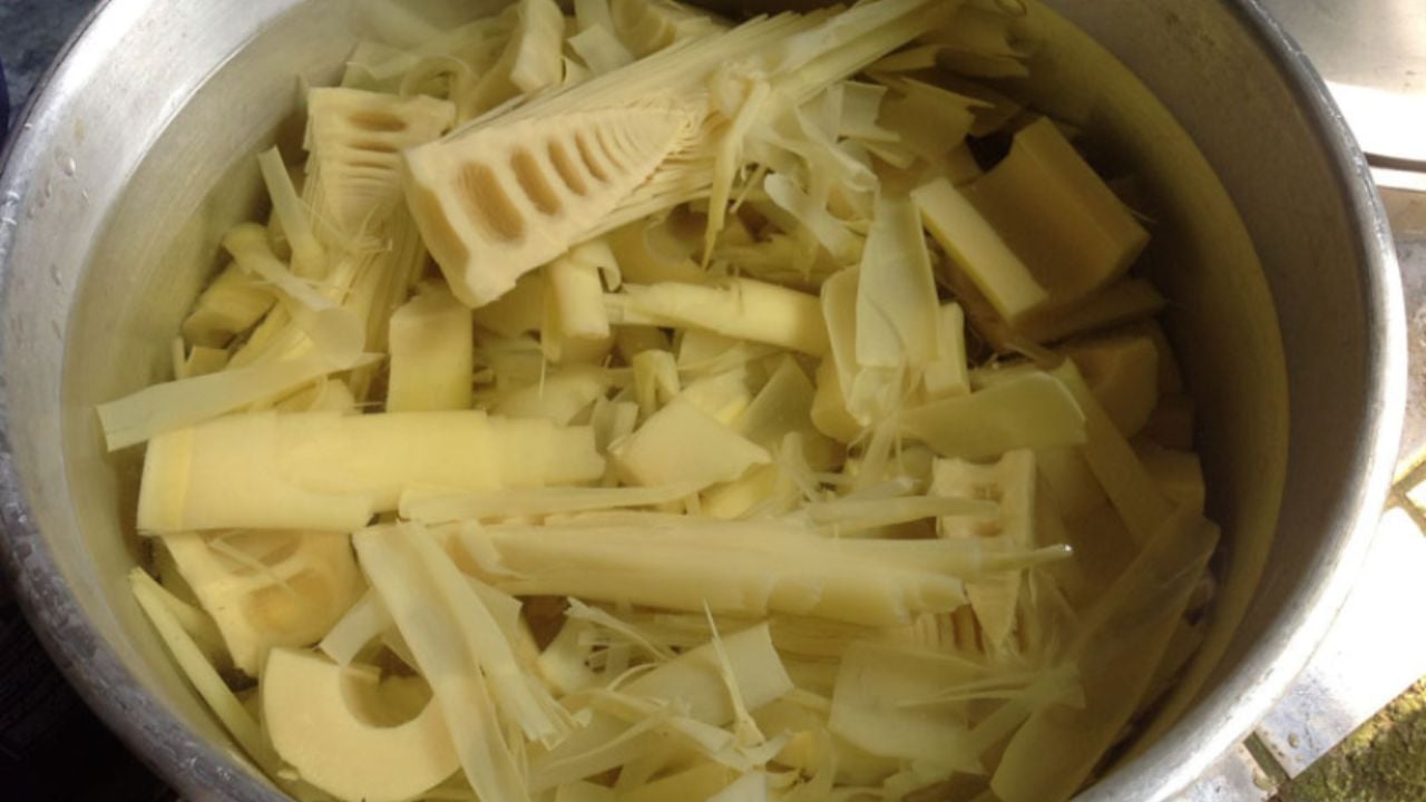 Sơ chế măng tươi làm gỏi