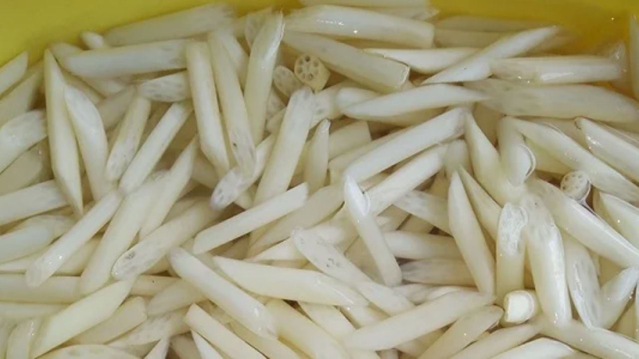 Sơ chế nguyên liệu làm gỏi gà ngó sen