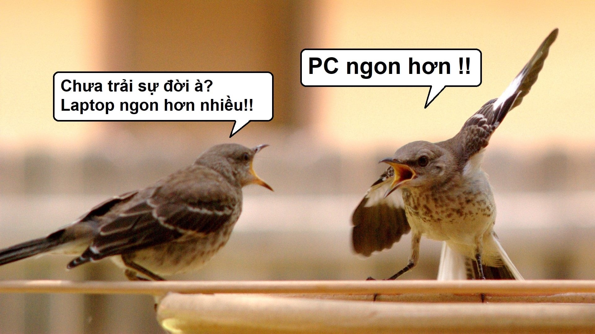 Chia sẻ cảm giác bất lực với cuộc chiến máy bàn ngon hơn hay laptop ngon hơn