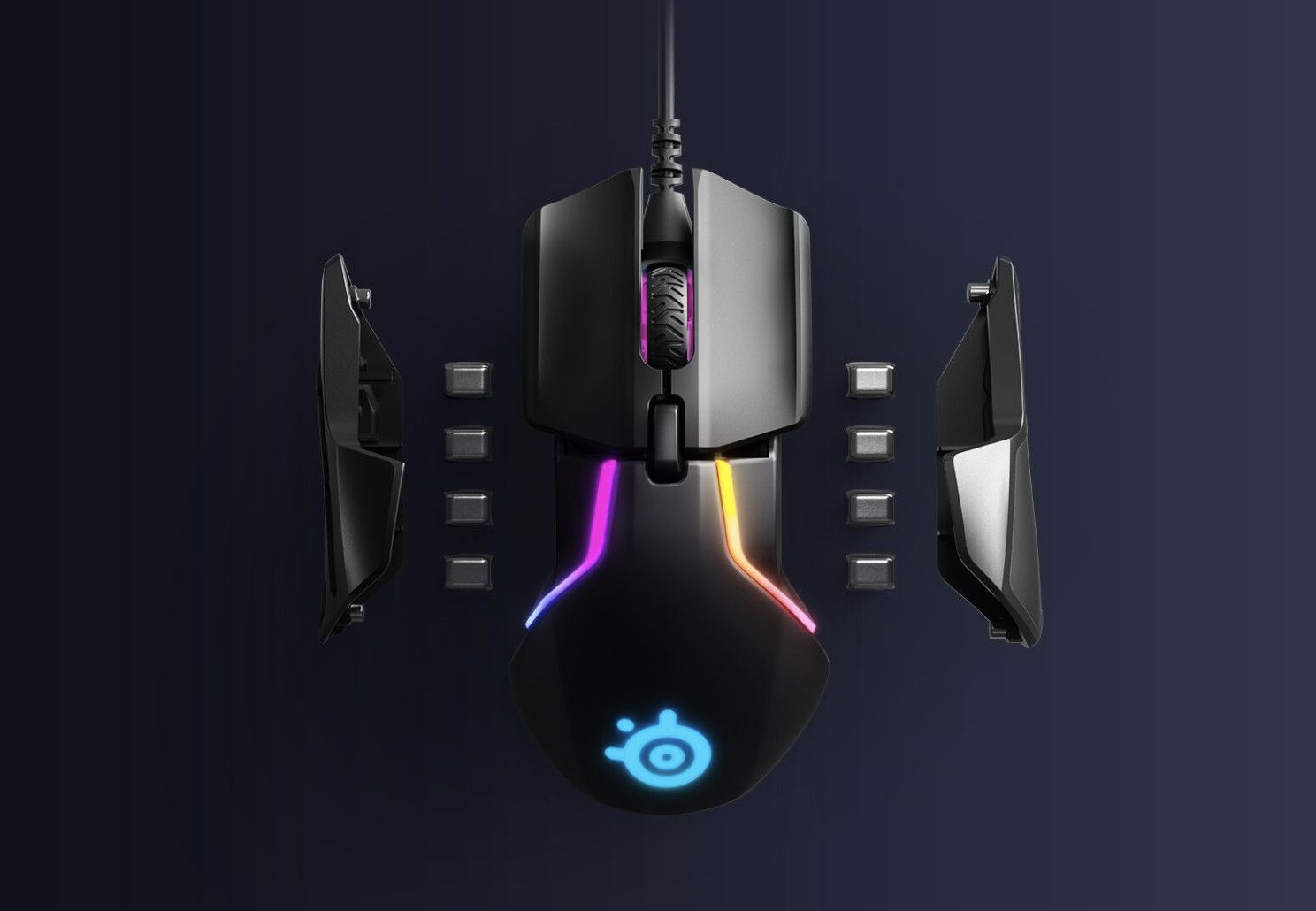 Tạ chuột liệu có thực sự vô dụng?