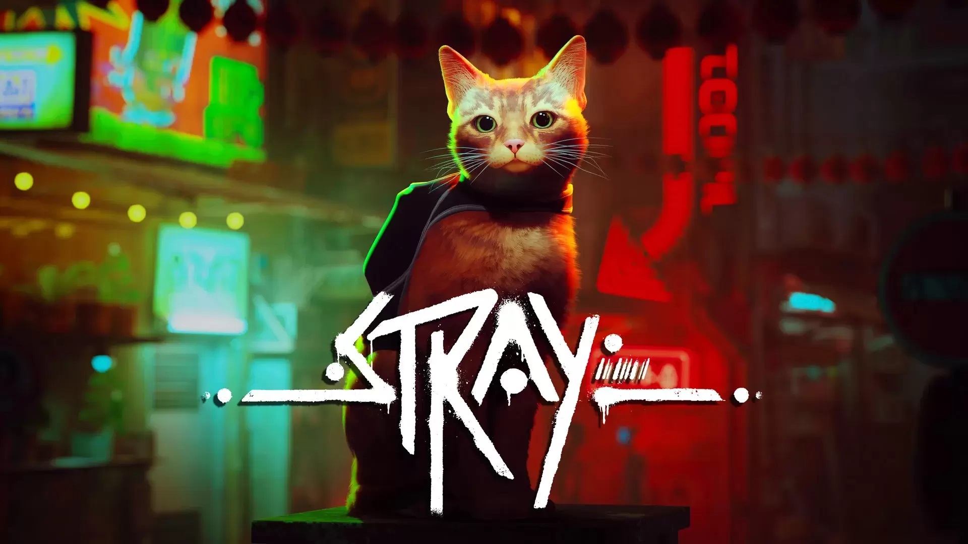 Cứ như duyên phận, game thủ được mèo tới hỏi thăm sau khi mua game Stray về chơi
