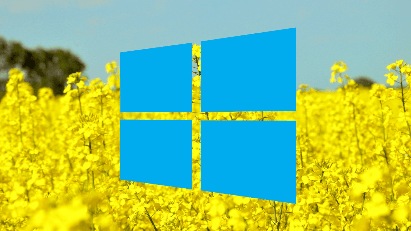 Microsoft có thể tung bản cập nhật Windows 10 2004 vào tháng 5, anh em hãy chuẩn bị sẵn sàng