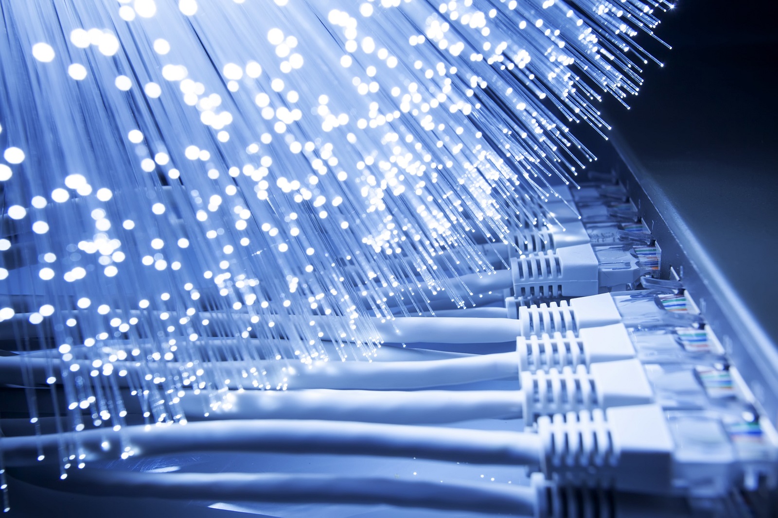 Viện công nghệ MIT xác nhận dịch COVID-19 đã thúc đẩy sự phát triển của internet toàn cầu