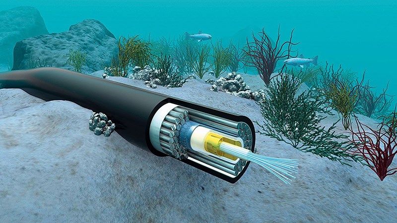 Cáp biển AAG lại đứt ngay trong đợt cách ly toàn xã hội, anh em game thủ biết sống làm sao?