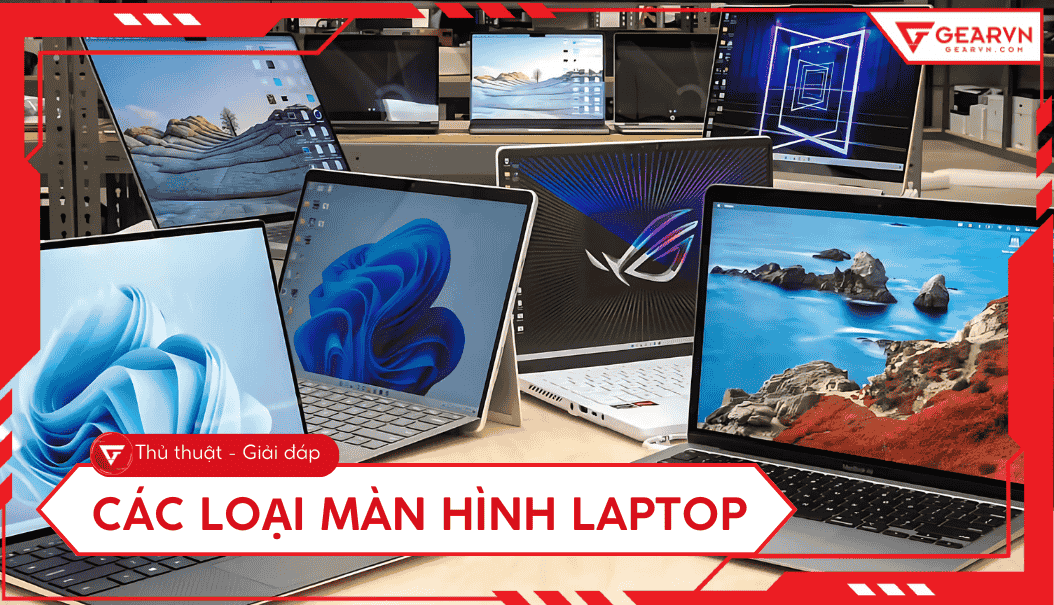Tìm hiểu các loại màn hình laptop: Phân loại, tiêu chí chọn